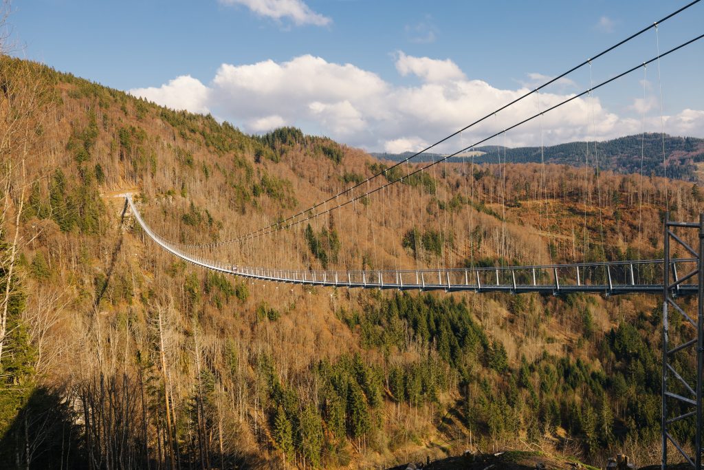 Blick auf die Hängebrücke in Todtnauberg