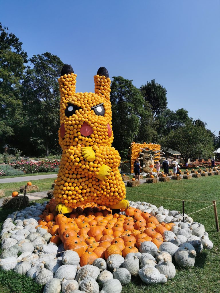 Pikachu bei der Kürbisausstellung 2019 - Ein elektrisierendes Erlebnis!