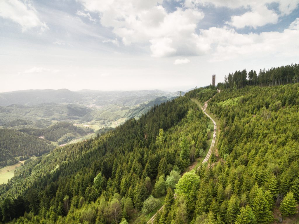 Der Buchkopfturm bei Maisach in Oppenau bietet eine atemberaubende Aussicht auf die umliegende Landschaft.
