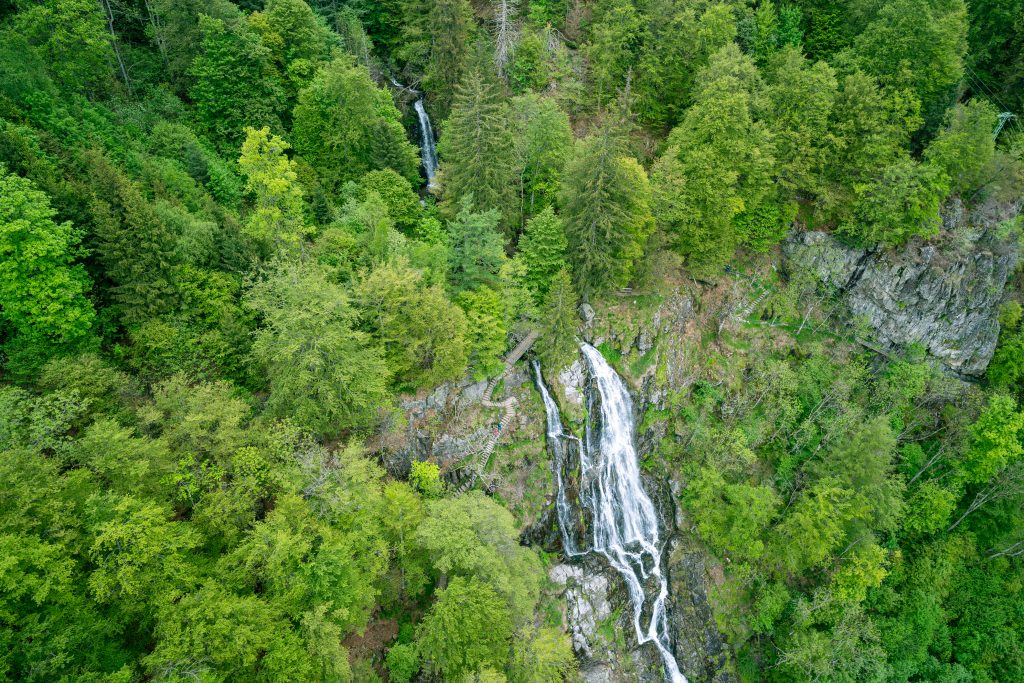 Blick auf den Todtnauer Wasserfall von der Hängebrücke Blackforestline