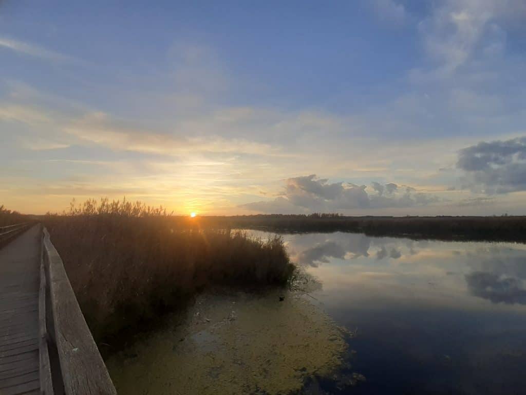 Abendstimmung am Federsee
