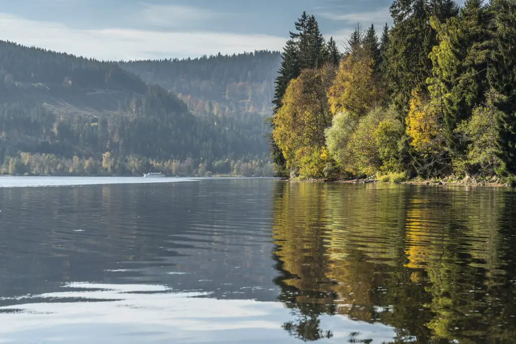 Titisee im Herbst
