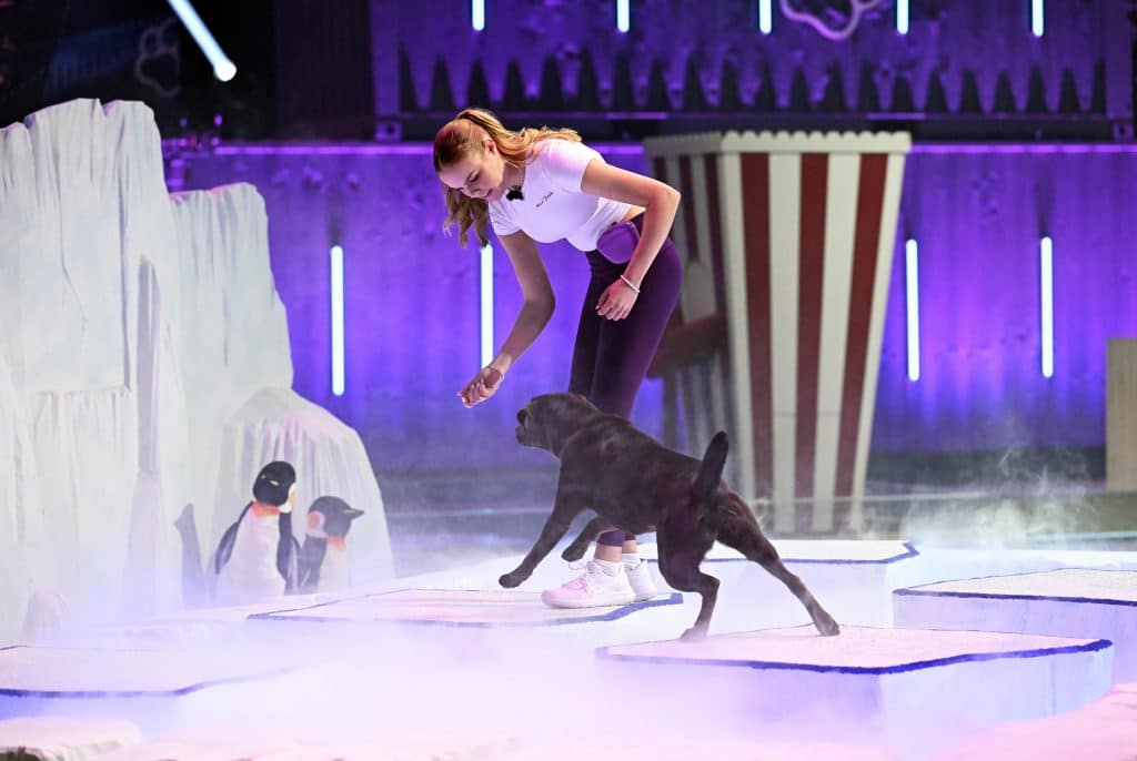 Mia Heringer mit ihrem Labrador "Frieda" in Runde 1.
