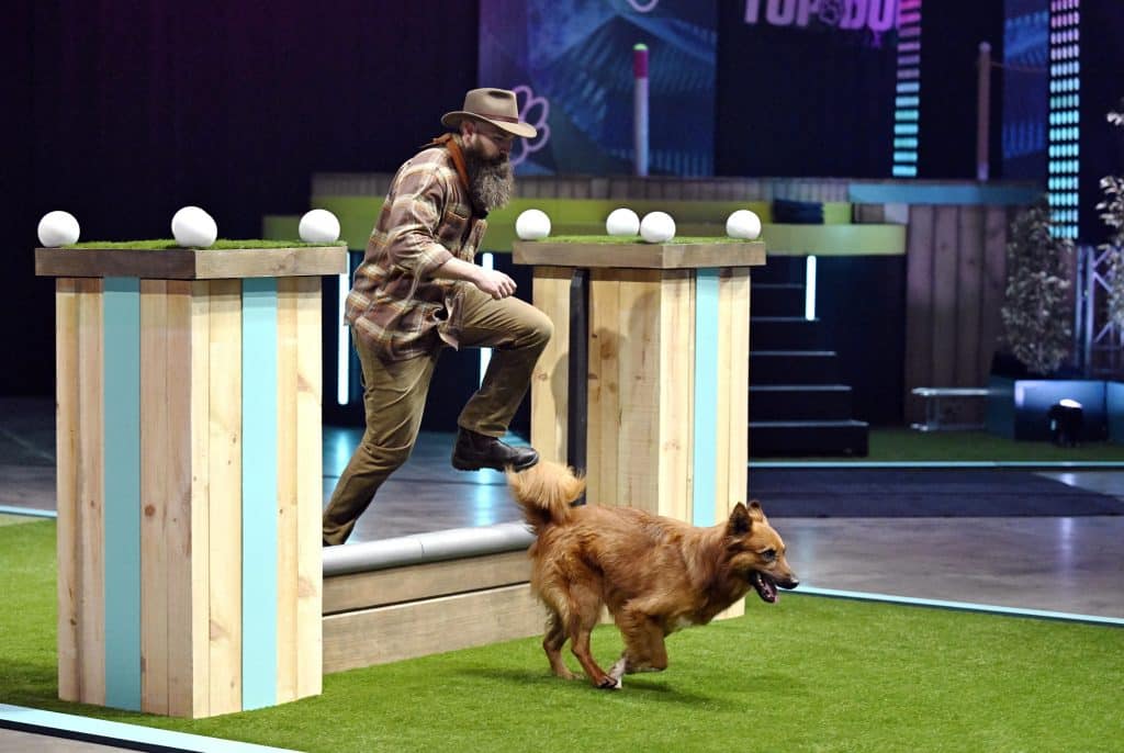 Danny Knabe mit seinem Harzer Fuchs "Thor" in Runde 1.
