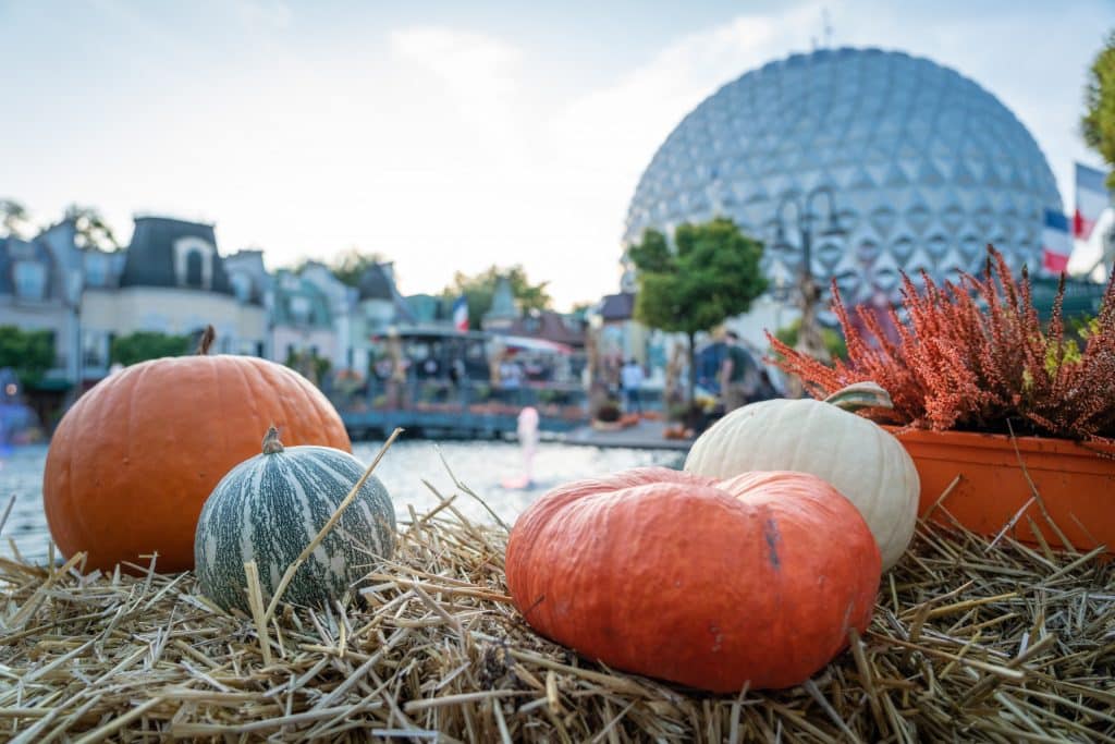 Ende September startet die Halloweensaison in Deutschlands größtem Freizeitpark
