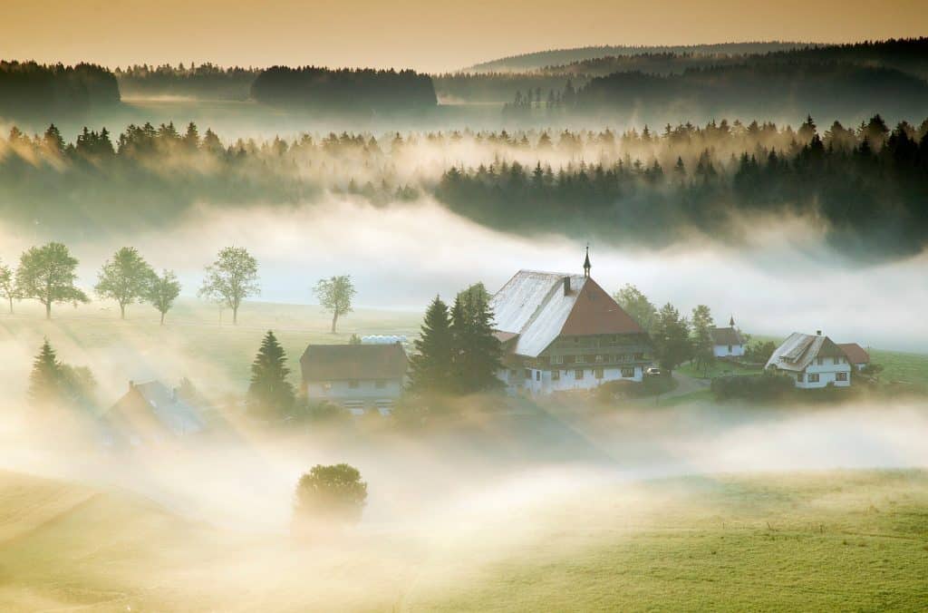 Der "Fallerhof" im Morgennebel.