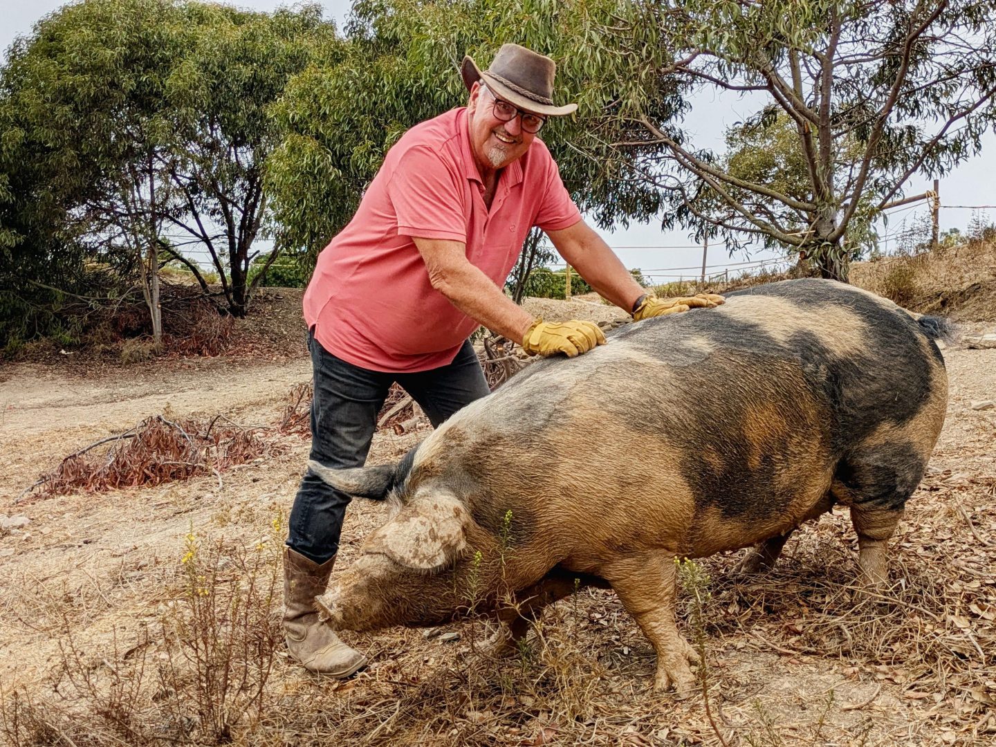 Olaf (70) aus Portugal