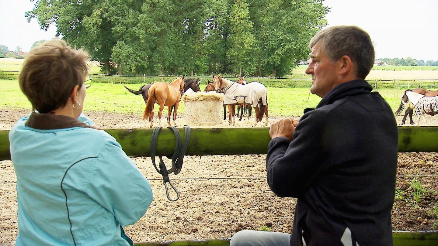 Geflügelhalter Konrad "Konny" (61) aus Niedersachsen zeigt Doris (60) seine Pferdeweide, bevor er ihr sein Geflügelgehege präsentiert.
