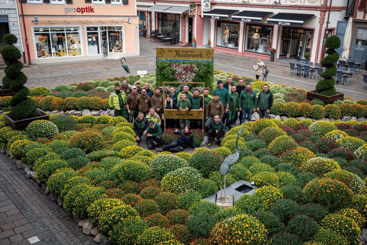 20 Gärtnerinnen und Gärtner des Europa-Park verwandelten den Sonnenplatz in Lahr zur diesjährigen Chyrsanthema