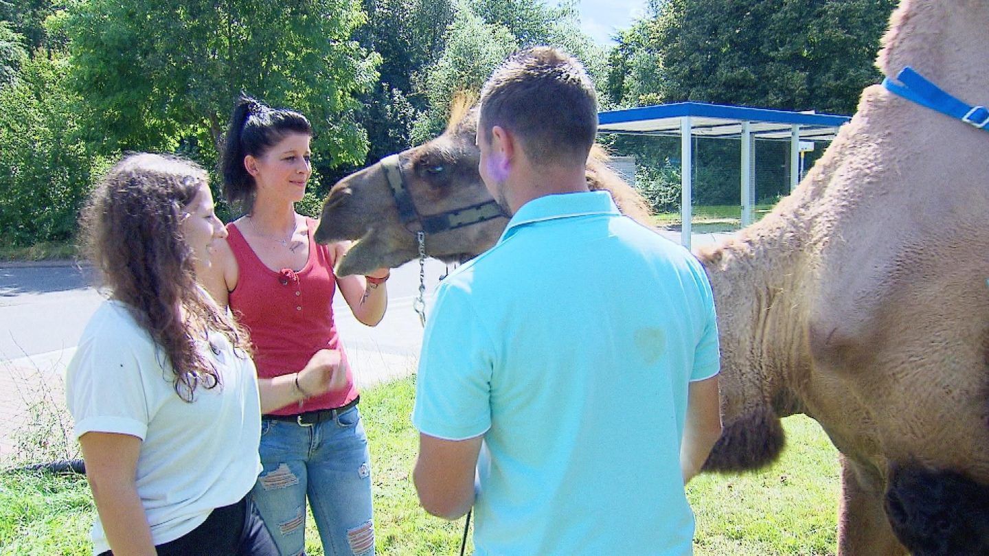 Begrüßung mit Kamel: Eva (24, Immobilienkauffrau und Studentin, l.) und Sabrina (34, Verkäuferin) mit Kamelhalter Marvin (31) aus Nordrhein-Westfalen am Bahnhof.