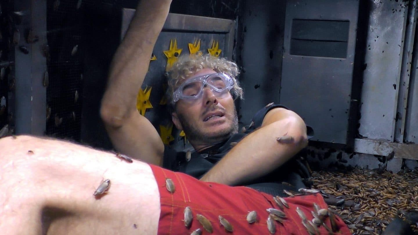 Sam wird auf der Ladefläche eines alten Transporters eingesperrt und muss mit den von Alessia gefundenen Werkzeugen Sterne abschrauben. Ratten, Kakerlaken, Heuschrecken, Fliegen und Mehlwürmer natürlich wird Sam nicht alleine auf der Ladefläche bleiben.