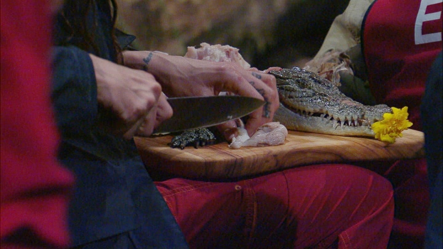 Im Dschungelcamp bereiten die Stars ihre erste Mahlzeit mit ungewöhnlichen Zutaten zu. Auf einem Holzbrett liegt ein Krokodilkopf mit einer gelben Blume im Maul, während eine Hand mit tätowierten Fingern das Fleisch mit einem großen Messer schneidet. Die Zutaten des Food Drops, darunter Kochbanane, Chayote und Sprossen, sorgen für gemischte Reaktionen unter den Camp-Bewohnern. Einige beobachten das Geschehen skeptisch, während andere gespannt auf das exotische Essen blicken. Die rote Kleidung der Camper hebt sich deutlich von der dunklen Umgebung ab und unterstreicht die besondere Atmosphäre des Camps.