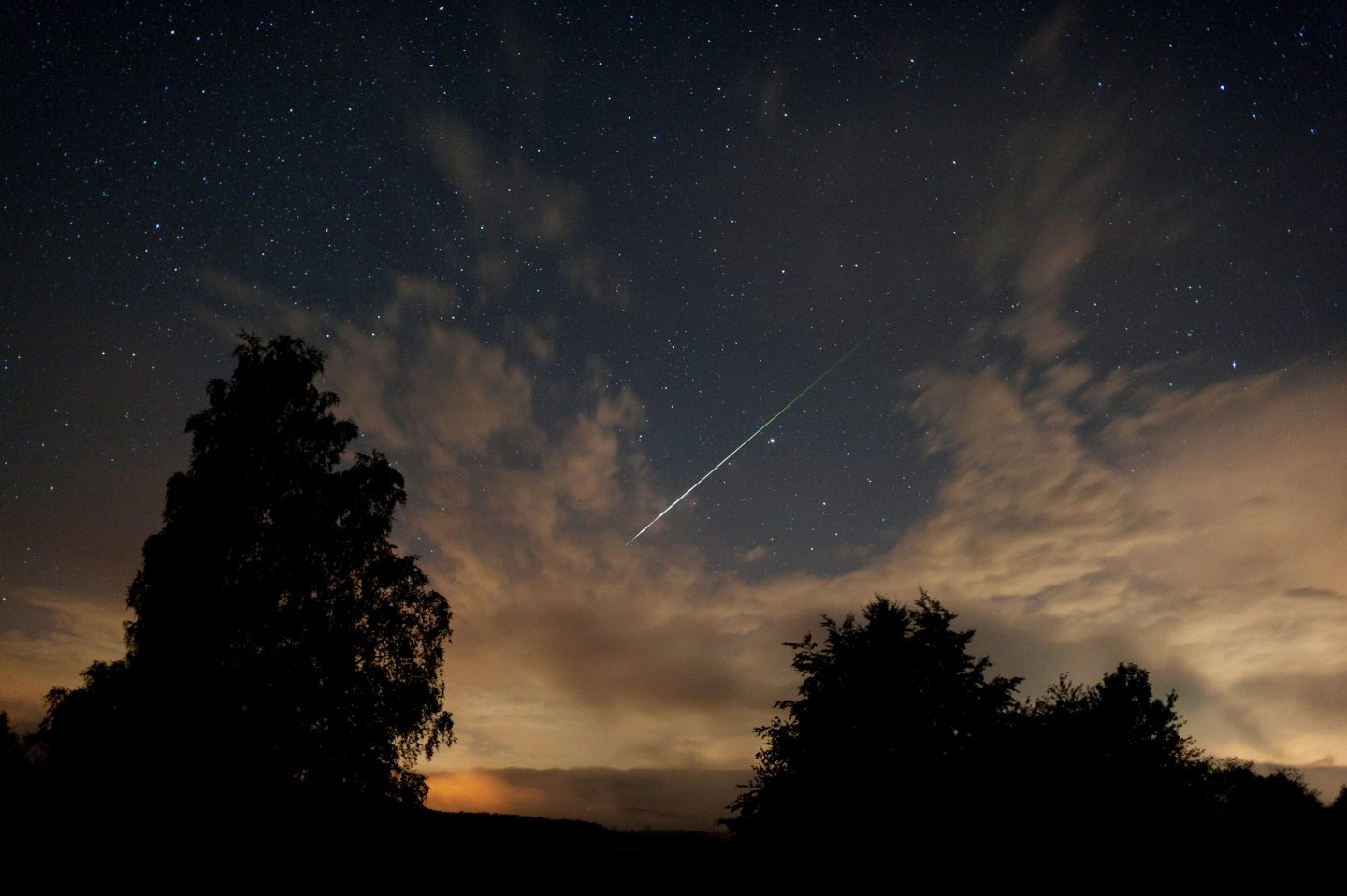 Ein heller Meteor streift durch den Nachthimmel, umgeben von funkelnden Sternen und leichten Wolken. Silhouetten von Bäumen rahmen die Szene ein und sorgen für eine stimmungsvolle Atmosphäre.