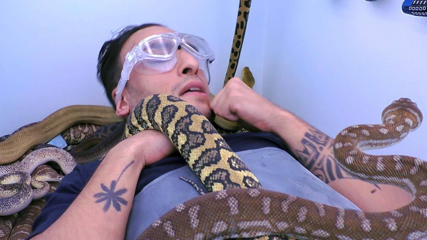 Timur Ülker liegt in der Dschungelprüfung „Murwillumbah Sun“ bewegungslos in einer engen Kammer, während mehrere Schlangen über seinen Körper gleiten. Mit Schutzbrille auf den Augen und angespannten Gesichtszügen versucht er, die Prüfung zu meistern. Eine große, gemusterte Python windet sich um seinen Hals, während weitere Schlangen seinen Arm und Oberkörper umschlingen. Die weiße Wand der Kammer verstärkt die klaustrophobische Atmosphäre der Prüfung.






