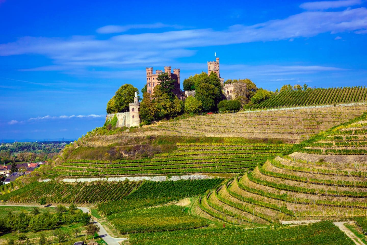Blick auf Schloss Ortenberg, umgeben von Weinbergen – Ortenberg, Baden-Württemberg, Deutschland