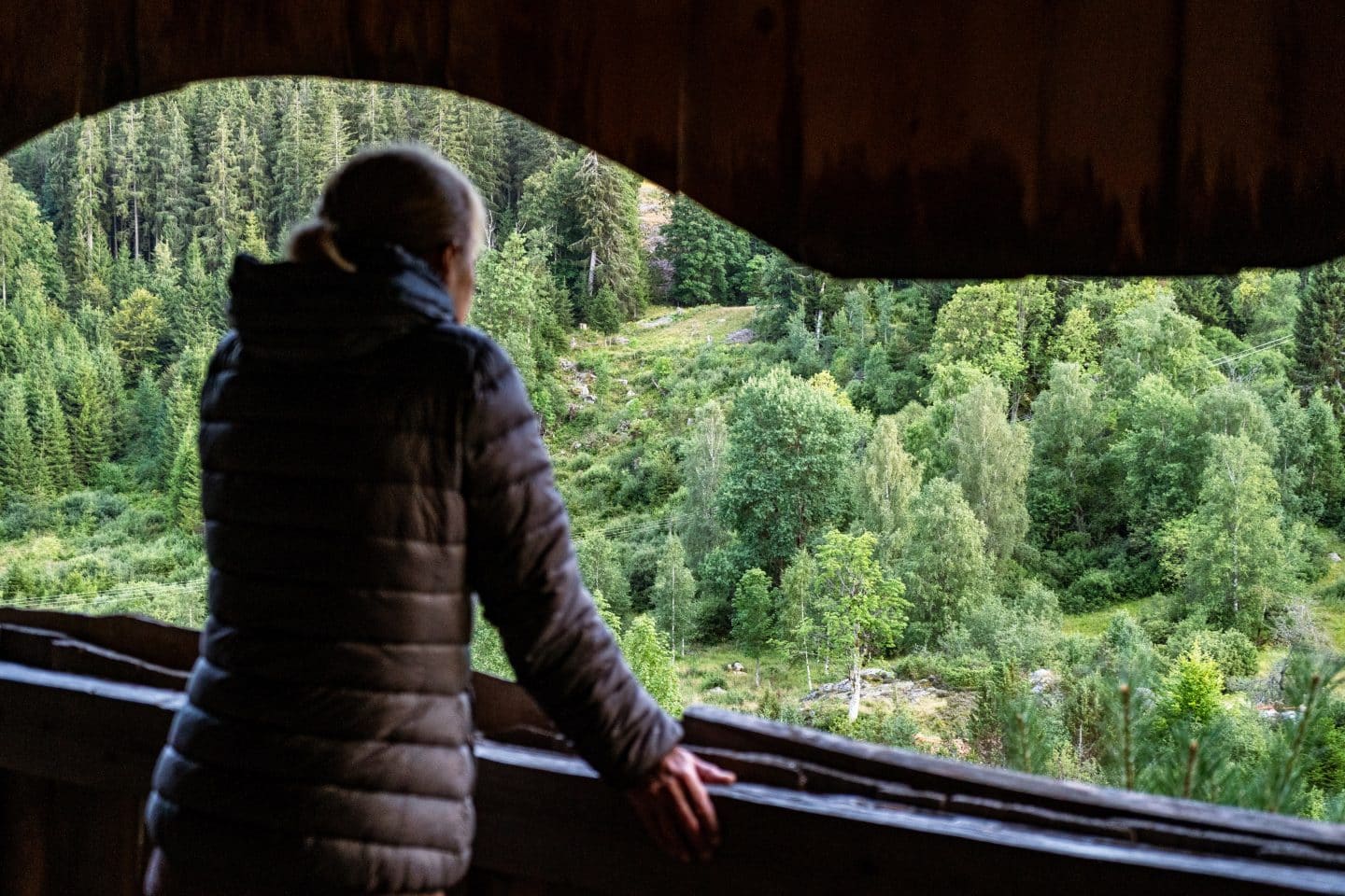 Aussichtspunkt bei der Rotwildpirsch
