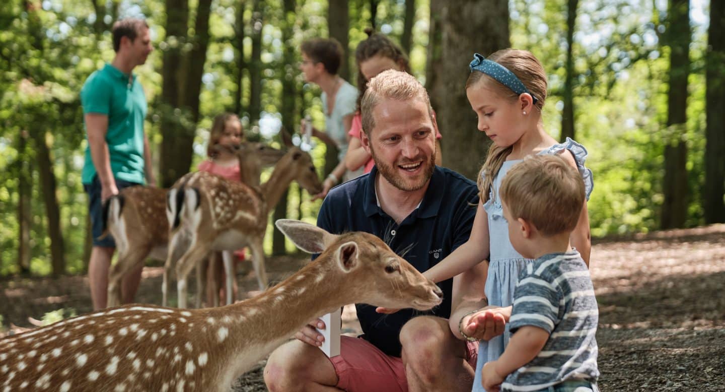 Familie füttert Damwild im Wildparadies Tripsdrill – hautnahe Tiererlebnisse für Kinder.
