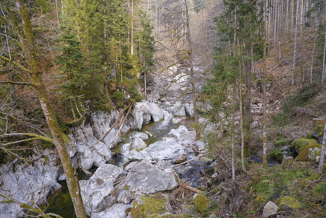 Die Teufelsküche im Albtal ist eine, etwa 100 m lange Engstelle im Flussbett der Alb. Sie lieg zwischen den Gemeinden Dachsberg und Albbruck.