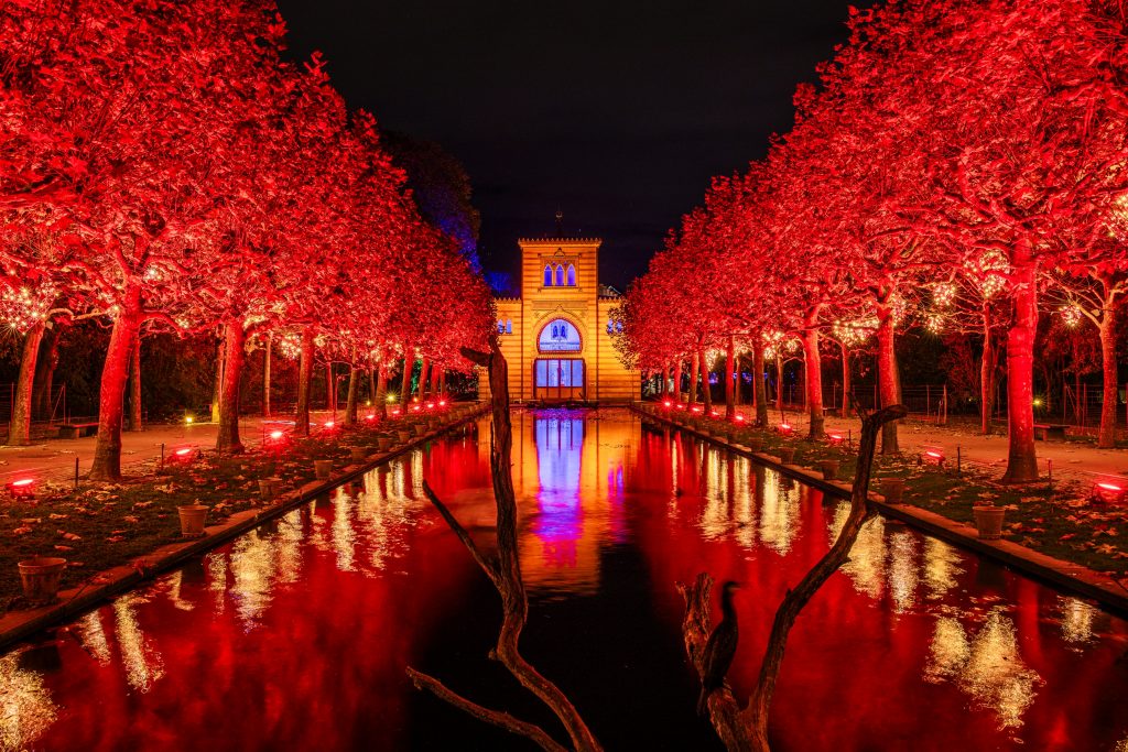 Illuminierte Allee mit rot beleuchteten Bäumen und spiegelndem Wasserbecken vor einem historischen Schloss bei Nacht.